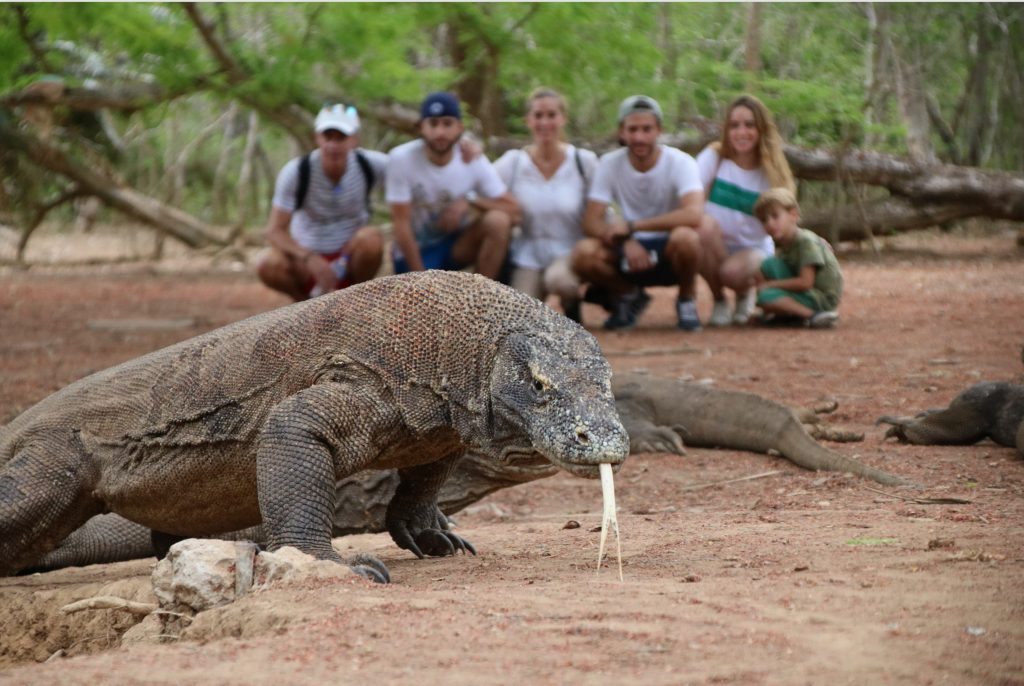Trekking with Komodo Dragons