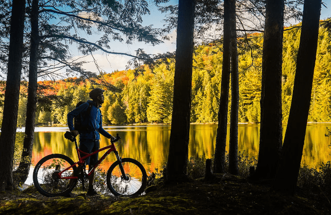 Algonquin Provincial Park