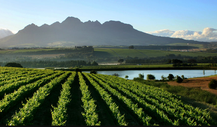 Cape Winelands, South Africa