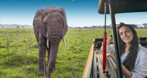 You are in Charge of Your Safari